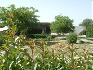 Université de Constantine