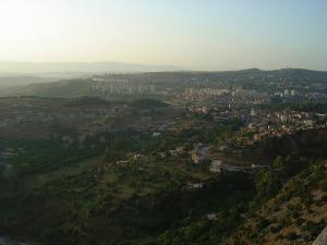 Forêt de Constantine