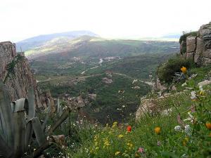 Verdure du Printemps Constantinois