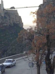 Route de Montagne à Constantine