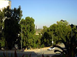 Vue de l’Université Islamique Emir Abdelkader sur les gorges du Rhummel avec en arriere plan l'Universite laique construite par Oscar Niemayer et son gratte-ciel
