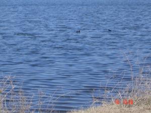 Lac de Salah Derradji Khroub