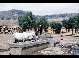 Ville de ZEBOUDJA ex HANOTEAU