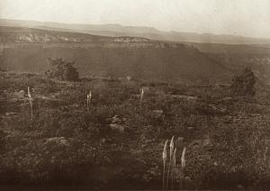 Les Causses des Monts de Tlemcen (vue prise de la Corne du Khémis, vers le Sud)