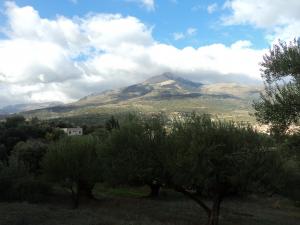 saharidj dans sa splandeur