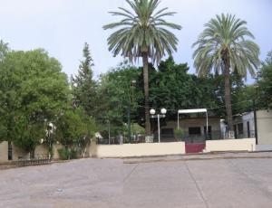 Boulodrome de Guelma