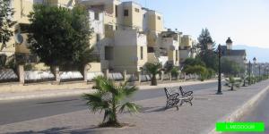 Rue Principale du Centre Ville (Guelma)