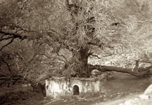 La kouba de Sidi Salah le fils au Khémis. (photo en 1941)
