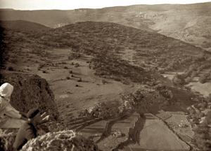 Pentes boisées des Béni Snous en 1941