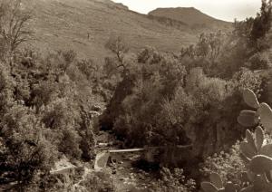 Oued El Khemis en 1941