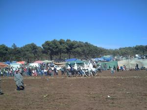 Fantasia  Mostaganem 28-05-2008