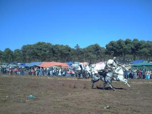 Fantasia  Mostaganem 28-05-2008