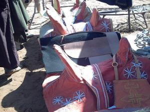 Fantasia  Mostaganem 28-05-2008