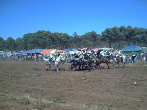 Fantasia  Mostaganem 28-05-2008