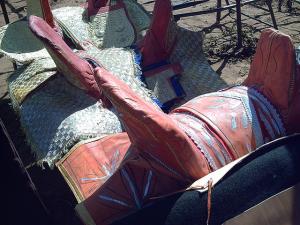 Fantasia  Mostaganem 28-05-2008