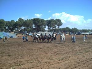 Fantasia  Mostaganem 28-05-2008