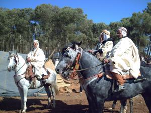 Fantasia  Mostaganem 28-05-2008