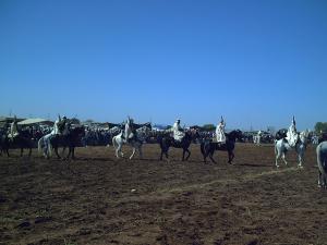 Fantasia  Mostaganem 28-05-2008