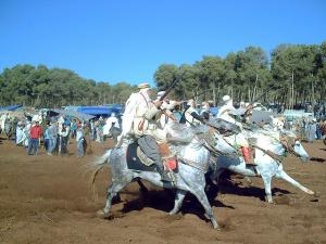 Fantasia  Mestghanem 28-05-2008