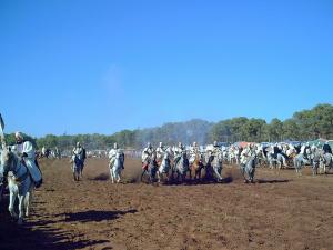 Fantasia  Mostaganem 28-05-2008