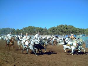 Fantasia  Mostaganem