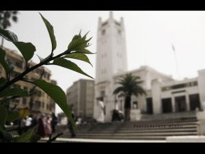 Mosquée de Mostaganem