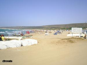 Plage Hadjadj ex Bosquet  (Mustghanem)