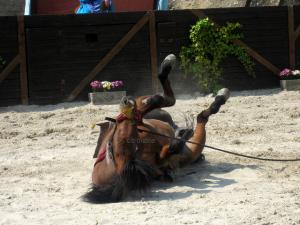 Fantasia à Mostaganem