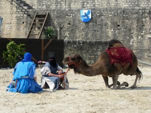 Fantasia à Mostaganem