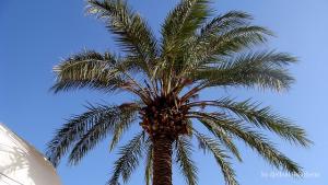 Mostaganem Sidi Lakhdar