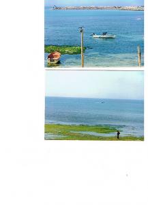 Mostaganem Les Sabletes Plage