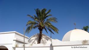 Sidi Lakhdar à Mostaganem