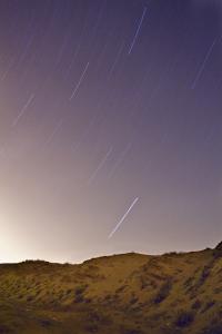 Filet d'Etoiles du coté de Stidia, Mostaganem.