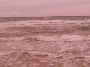 La Plage Salamandre à Mostghanem