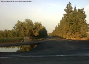 Branchement Mohammadia Mostaganem -  Trigue el Hajra