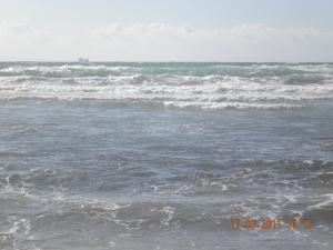 Plage les Salettes à Mostaganem
