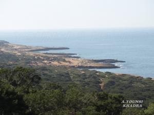 PAYASAGE LA MER ET FORET DE  KHADRA