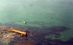 Au Large de Mostaganem