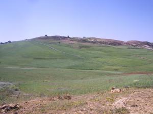 Beni Omrane,Abdel Ali,Ouled Maalalh (Mostaganem)