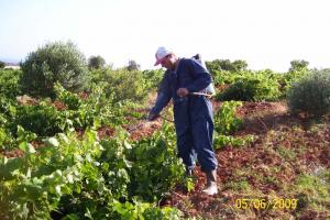 Jardini Municipal à Mostaganem
