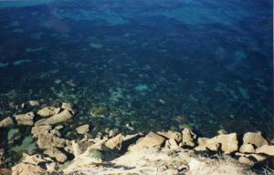 Du Haut de Sidi Mansour (Mostaganem)