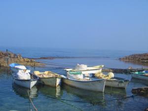 Petit Havre naturel à Mostaganem