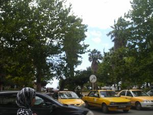 Jardin De La Mosquée Badr (Mostaganem)