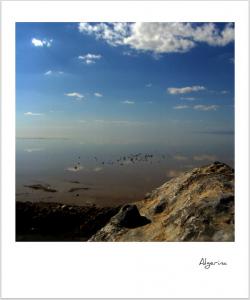 Du Haut d'une Montagne (Msila)