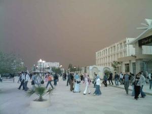 Université de Msila