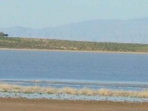 Sebkha de M'cif (Msila)