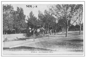 Jardin du siège de la commune Mixte avec son muret balustre (Msila)