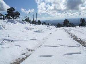 A 1200 m d'altitude (Régio de Msila)