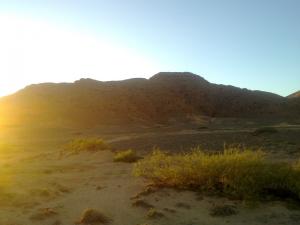 Paysage Désertique (Msila)