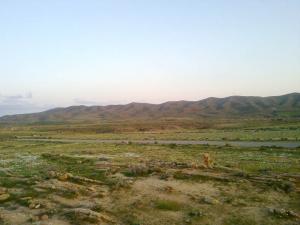 Champ Agricole dans la région de Msila